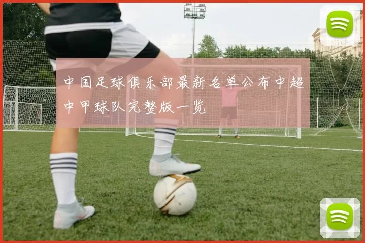 中国足球俱乐部最新名单公布中超中甲球队完整版一览