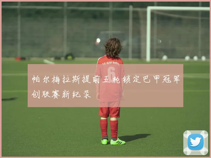 帕尔梅拉斯提前五轮锁定巴甲冠军创联赛新纪录