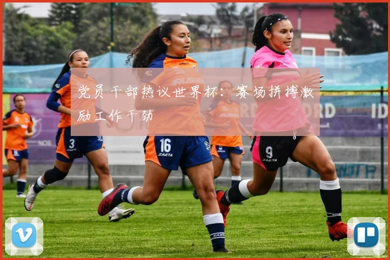 党员干部热议世界杯：赛场拼搏激励工作干劲