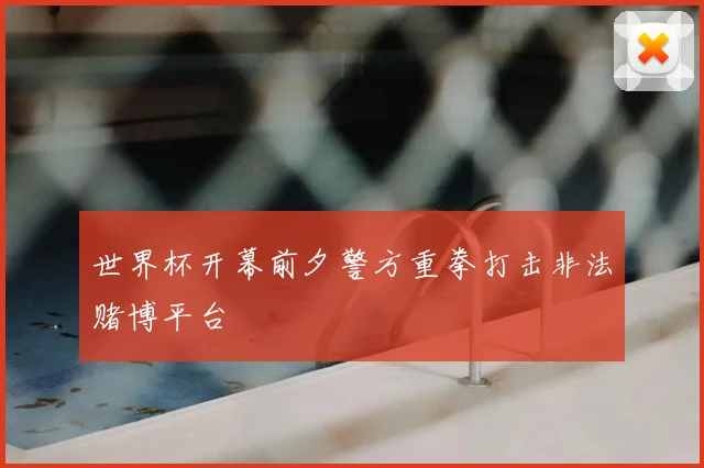 世界杯开幕前夕警方重拳打击非法赌博平台