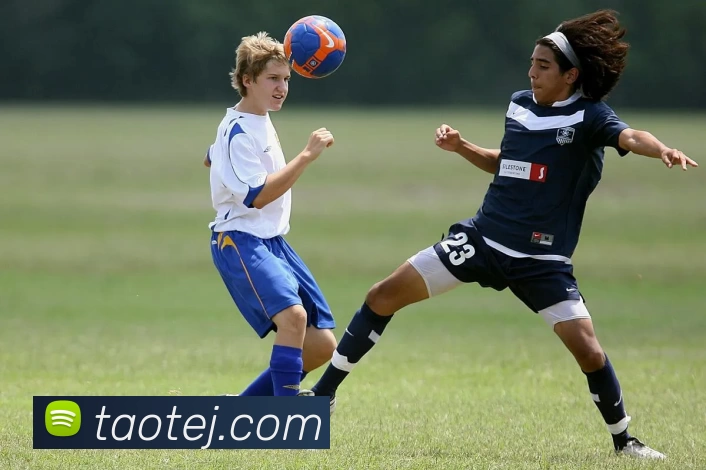 完美体育·(中国)官方网站 - WM SPORTS服务体系